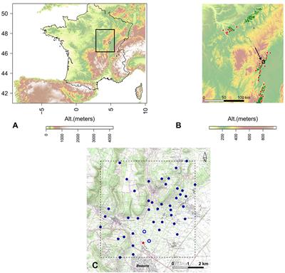 Sensitivity of Grapevine Soil–Water Balance to Rainfall Spatial Variability at Local Scale Level